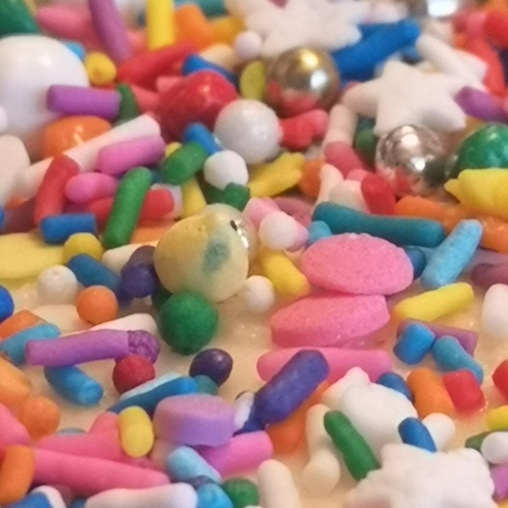 Meet your Posher, Ally